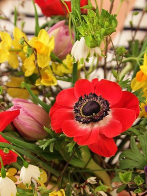 Сегодня ведущий флорист салона цветов Flower-shop.ru Ольга Косыгина соберет уникальный авторский букет в каркасе ручной работы из ярких весенних цветов и расскажет, как подарить весеннее настроение.
