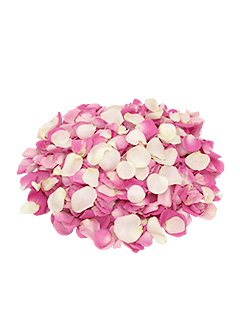 Лепестки белых и розовых роз