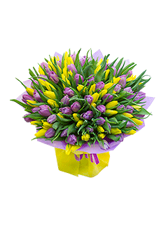 Букет из желтых и сиреневых тюльпанов «Мулен Руж»