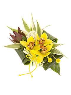 Композиция из орхидей «Джунгли»