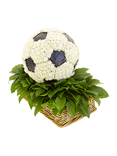 Цветочная композиция из хризантем «Футбольный мяч»