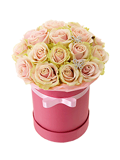 17 нежно-розовых роз в шляпной коробке