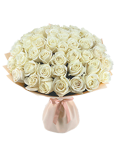 Букет из 51 белой эквадорской розы