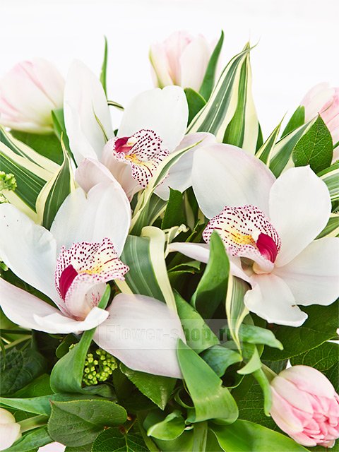Букет из орхидей и тюльпанов «Знакомство»