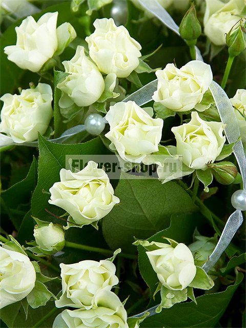 Букет из белых кустовых роз «Кружева»