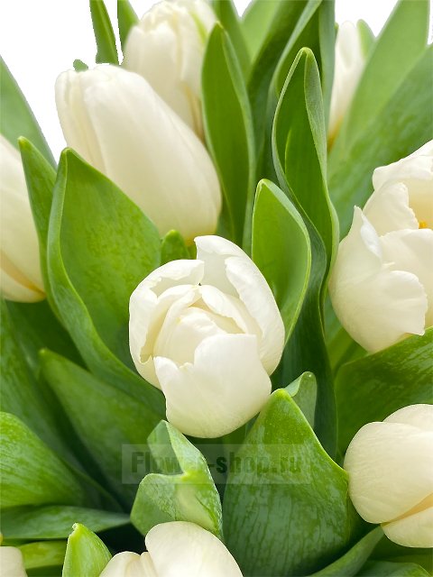25 белых тюльпанов в шляпной коробке