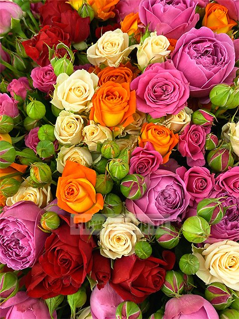 Букет из разноцветных кустовых роз