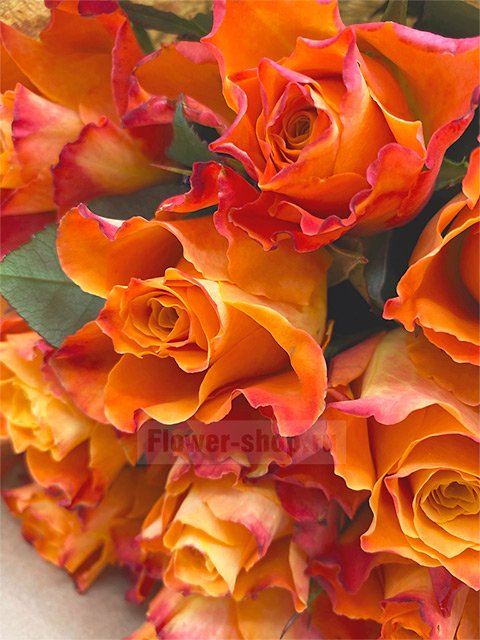 Букет из 15 желто-рыжих роз Акуна Матата