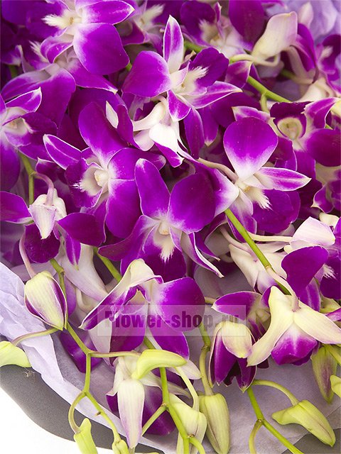 Букет из 9 орхидей