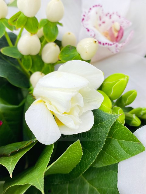 Корзина из роз, орхидей и фрезий «Признательность»