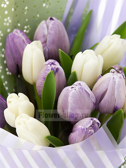 Букет из 15 разноцветных тюльпанов «Очарование»