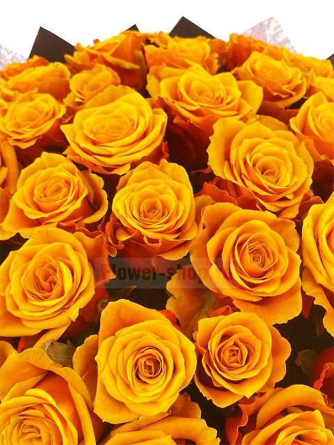 Букет из 51 желто-красной розы