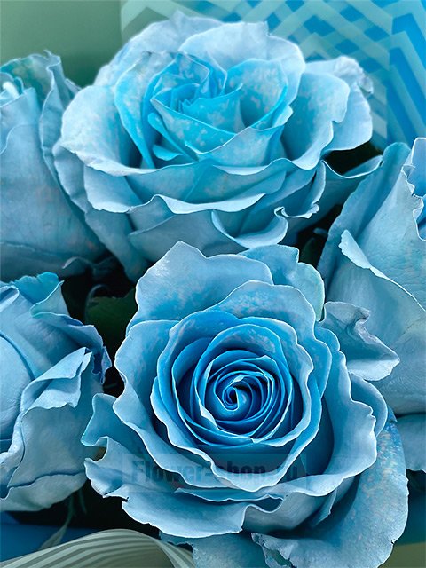 Букет из 5 голубых эквадорских роз