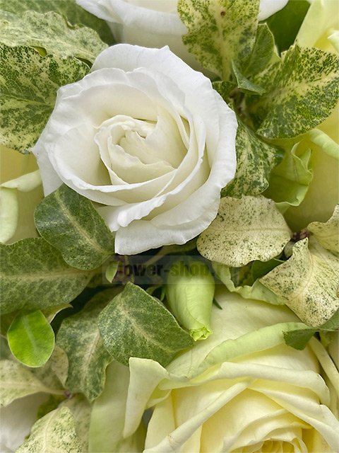 Букет невесты каскадный из роз и лизиантусов №43