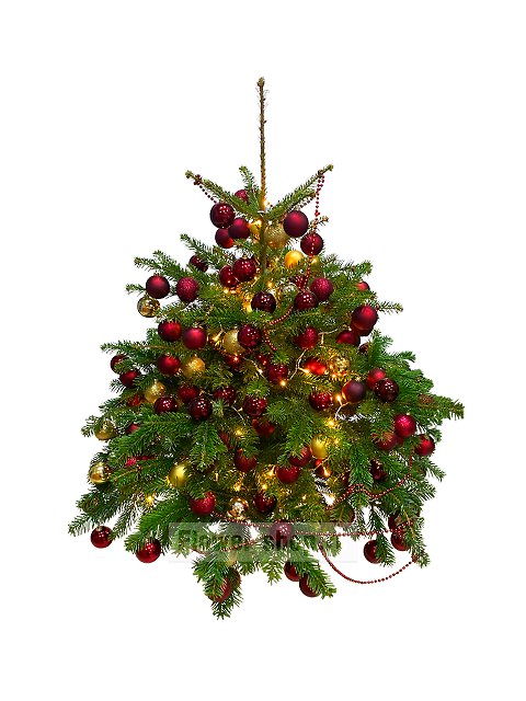 Живая наряженная елка в новогоднем оформлении №18