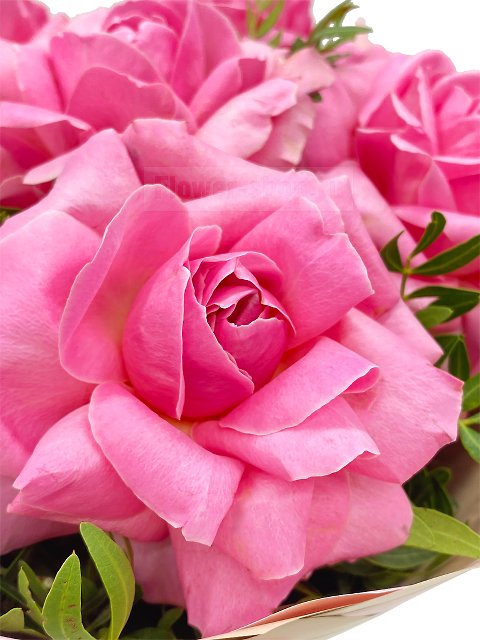 Букет из роз «Танец вечной весны»