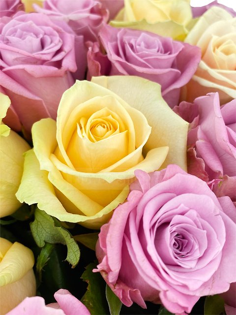 Букет из 101 розы «Калейдоскоп»