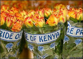 Садоводы Кении остались без покупателей