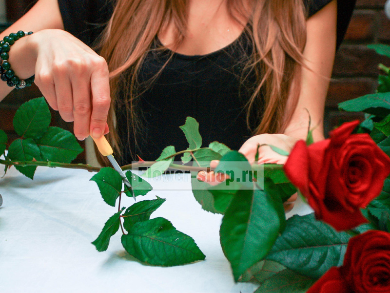 Мастер-класс: как своими руками оформить букет из роз / Блог о флористике /Flower-shop.ru - служба доставки цветов
