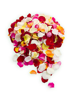 Лепестки роз «Радужный микс»