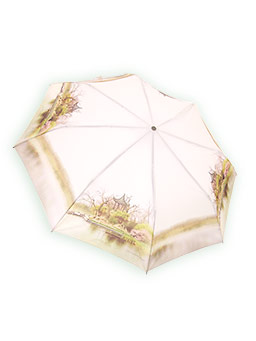 Зонт складной «Азия»