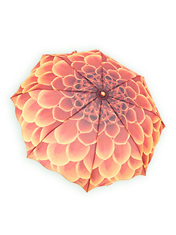 Зонт складной «Рыжий георгин»