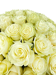Большие букеты из белых роз