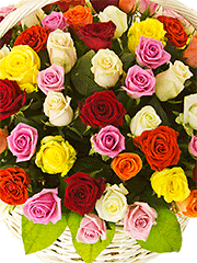 Букеты из 101 разноцветной розы