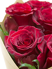 Букеты из 11 роз
