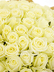 Букеты из 15 белых роз