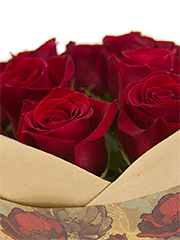 Букеты из 25 эквадорских роз