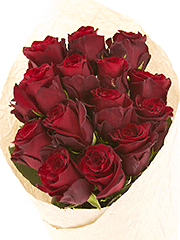Букеты из бордовых эквадорских роз