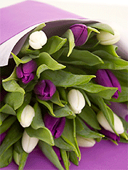 Букеты из фиолетовых тюльпанов