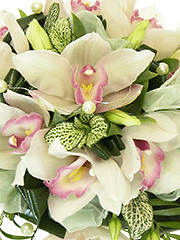 Букеты невесты из белых орхидей