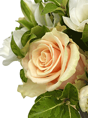 Букеты невесты из роз и фрезий