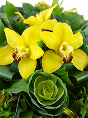 Букеты из орхидей и брассики