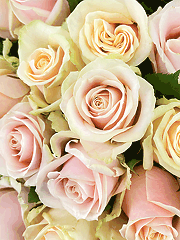 Букеты из роз для любимой