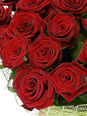 Букеты из роз на Татьянин день