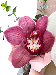 Букеты из розовых орхидей