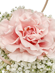 Букеты из розовых пушистых роз