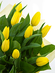 Букеты из желтых тюльпанов