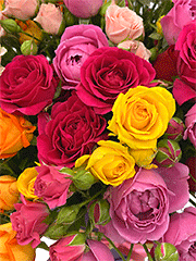 Разноцветные розы в шляпных коробках