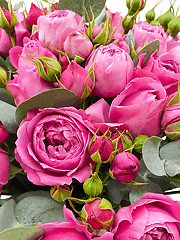Розовые розы в шляпных коробках