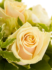 Свадебные букеты из роз с открытыми ножками