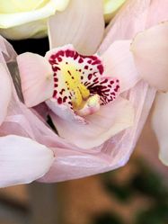 История одного сердца из роз и орхидей!