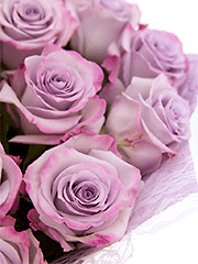 Яркие розы Эквадора: букеты с особенным настроением!
