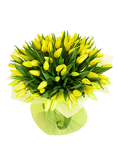 Букет из желтых тюльпанов «Сияние»