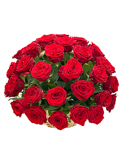 Корзина красных роз «Королева Марго»