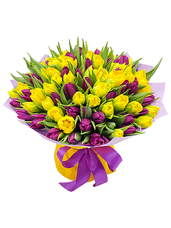 Букет из 101 желтого и фиолетового тюльпана
