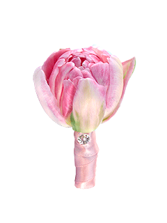 Бутоньерка из розового тюльпана №75